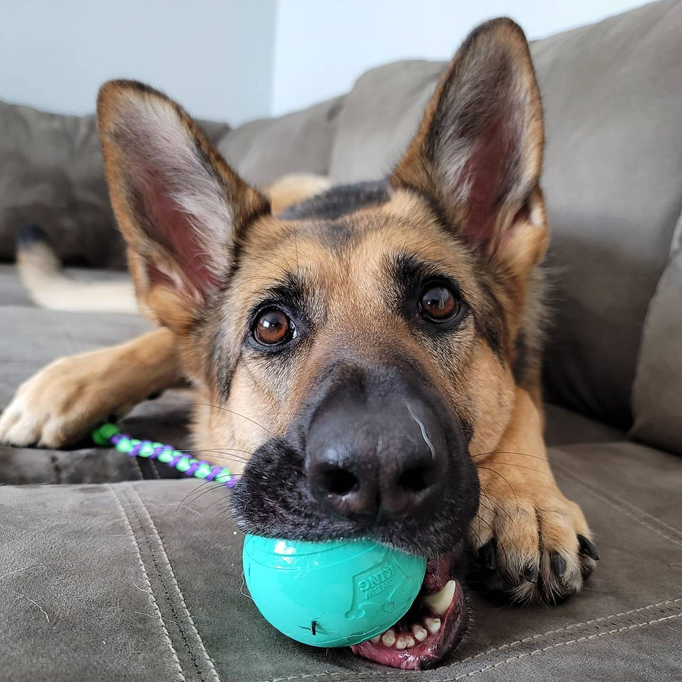 Thumbnail: Ball Tug