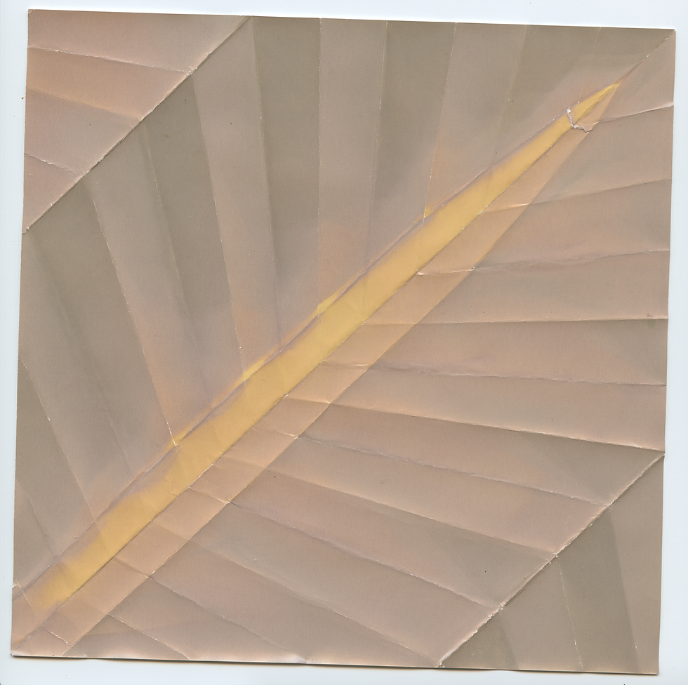 Leaf 17