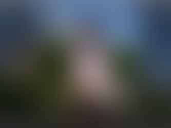 Maryline Salvetat Vassal,les éloges de la presse.