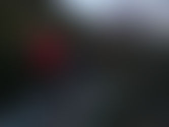 UN WEEK-END DE JANVIER BIEN REMPLI