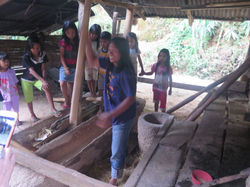 TORAJA