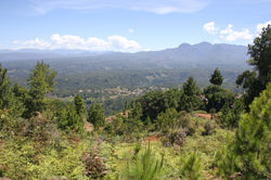 TORAJA