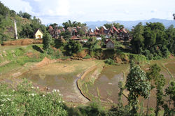 TORAJA