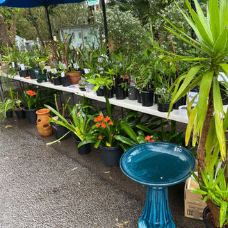 Spring Fair blooming success