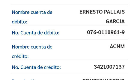 Ejemplo Boleta.jpg