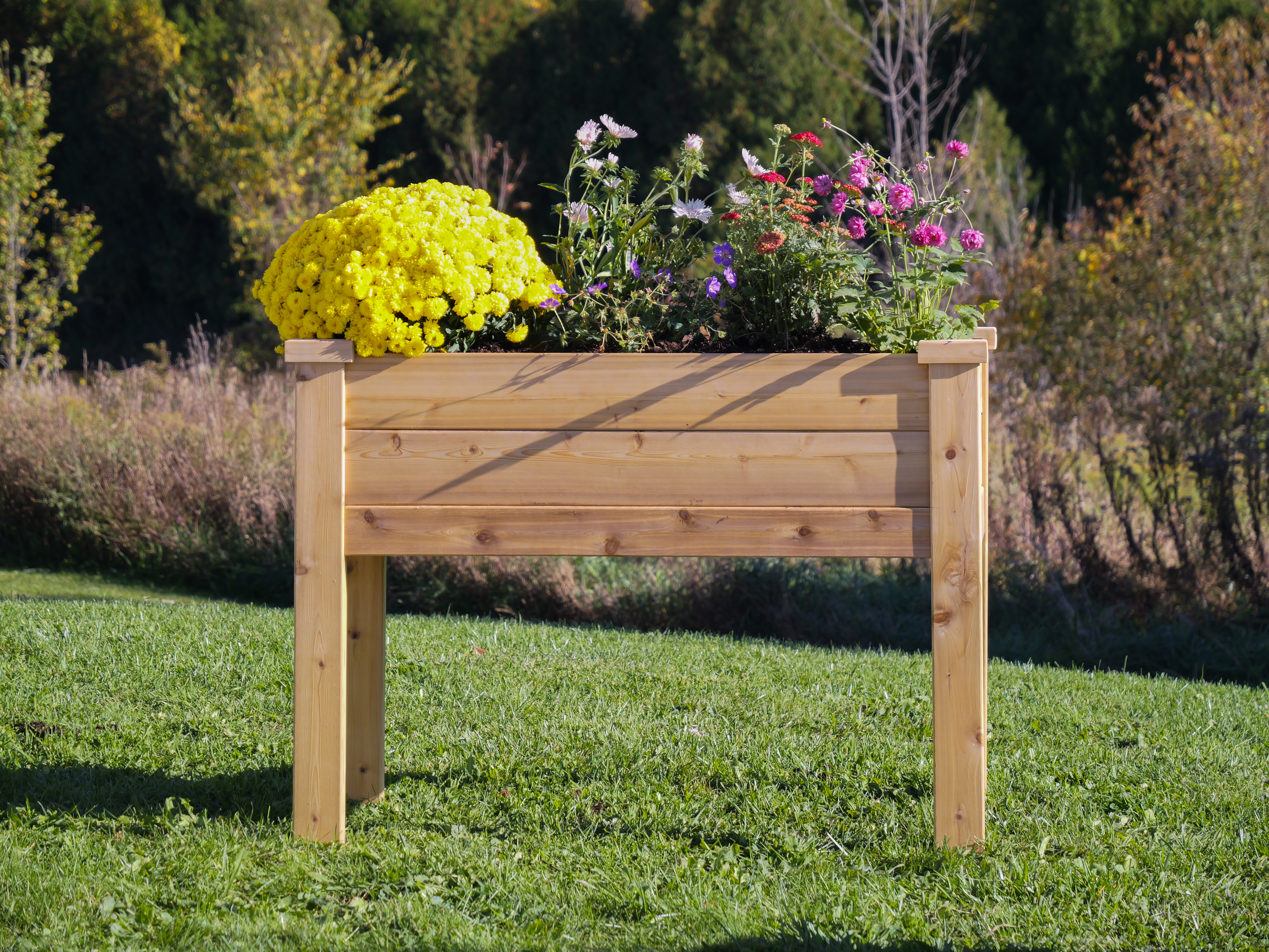 GardenzUp elevated cedar planter filled with yellow and pink flowers on a lawn