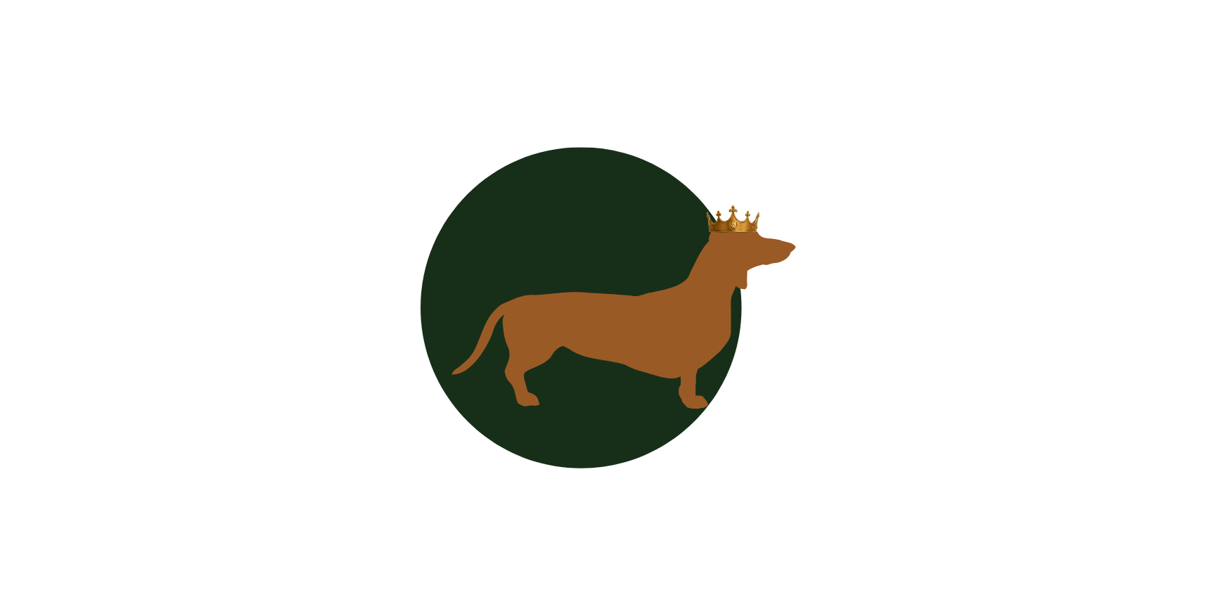 Check-ins icon