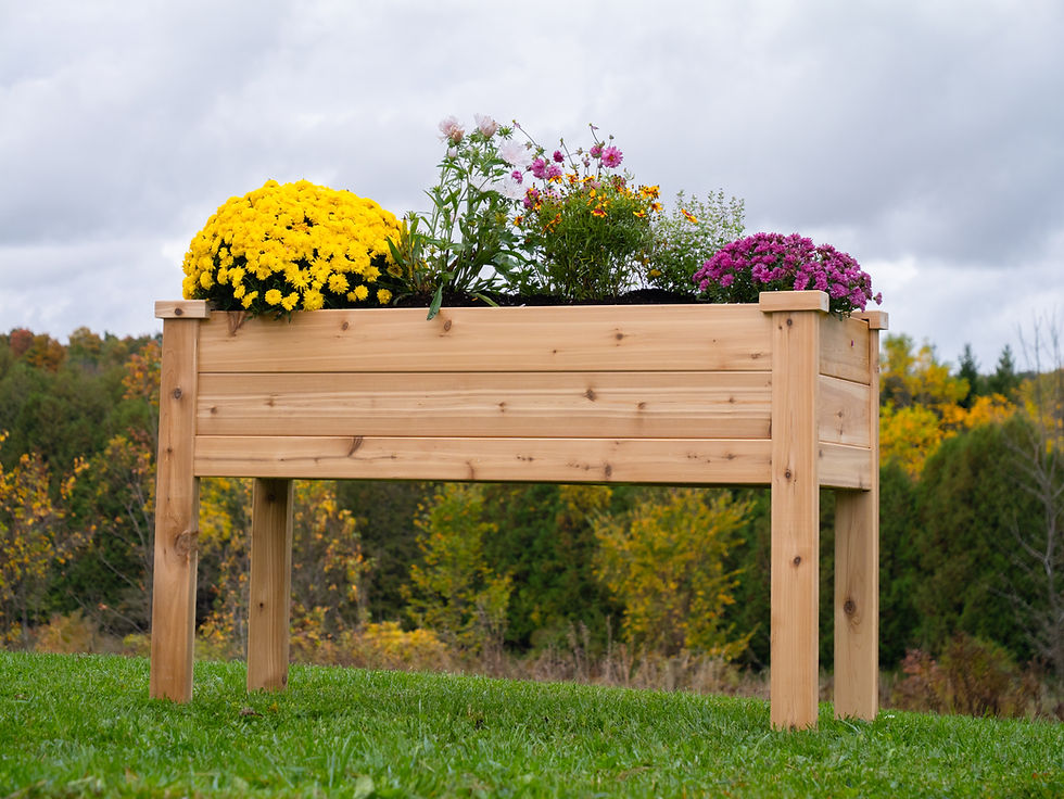 Thumbnail: Classic Raised Planter