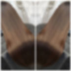 47576920_2431837396831976_27468184598190