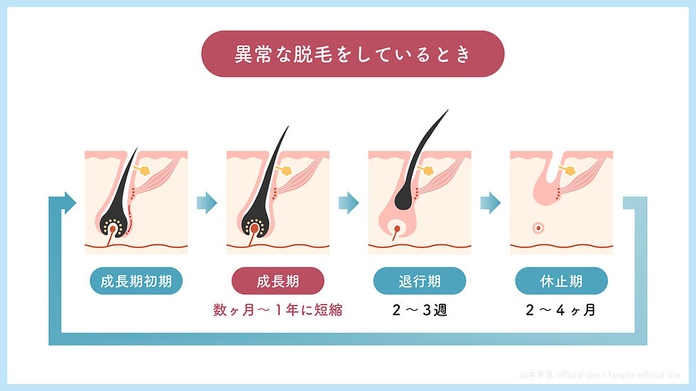 異常な脱毛をしているときの毛周期
