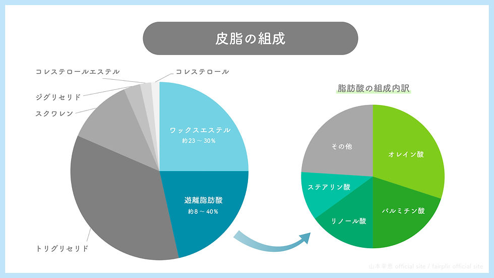 ヒトの皮脂の組成