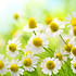 AdobeStock_52333738.jpeg