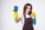 young-housewife-cleaning-with-rug-detergent-isolated.jpg