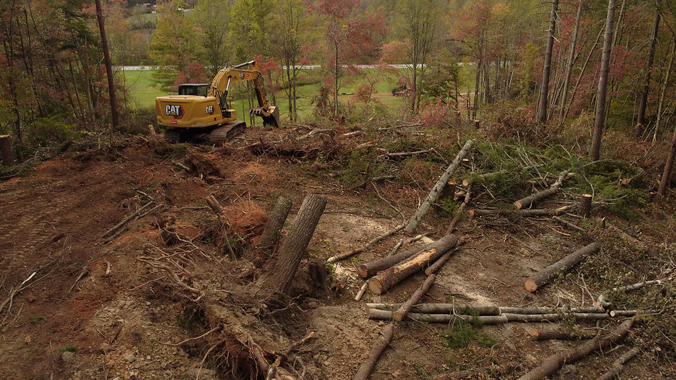 Land clearing near Wilkes County, NC