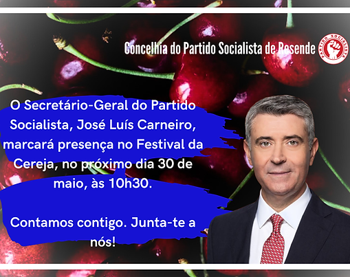 Secretário-Geral do Partido Socialista, José Luís Carneiro, estará presente no Festival da Cereja