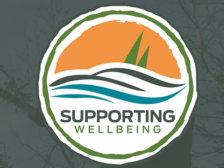 Supporting Wellbeing: Made-in-the-North Training Program transitions to MakeWay Platform