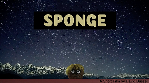 Sponge quick poster.png