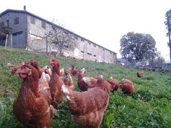 2014-11-19 16.57.18.jpg