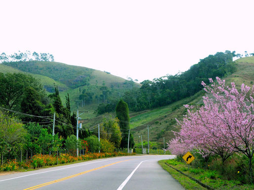 Friburgo e Teresópolis se unem para revitalizar circuito turístico