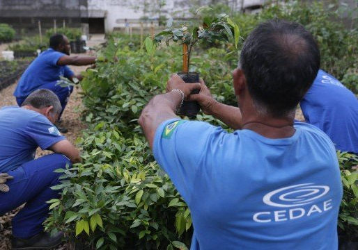 Presidiários do Rio ganham nova chance trabalhando durante a pena