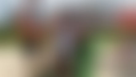 Projeto “Tô na Orla” possibilita banho de mar aos PCD’s em Ponta Negra