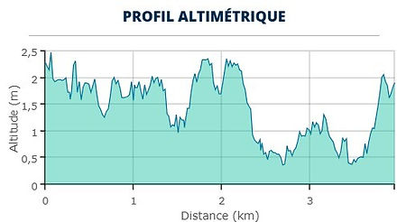 Pointe à retz.jpg