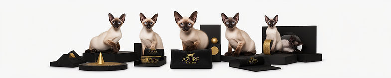 Five Siamese cats with elegant black and gold decor