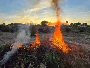 Cleared for Burning?