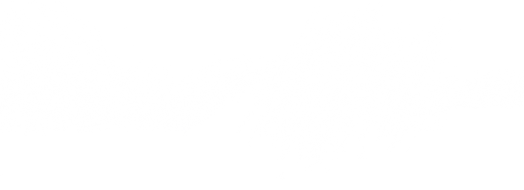Brush-Startseite.png