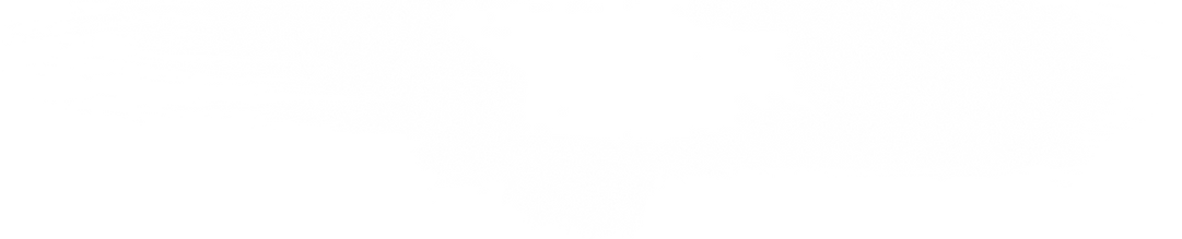 White_Brush_area.png