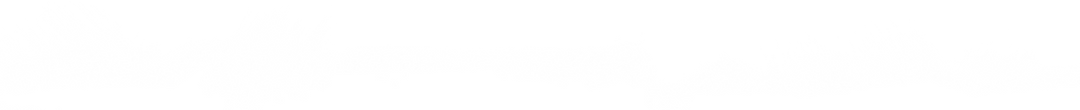 brush.png