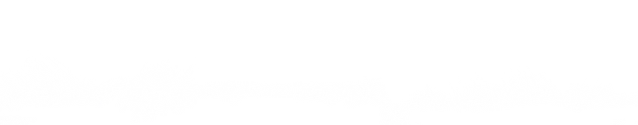 brush.png