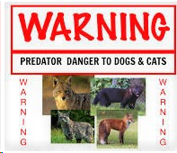 Pet Predators Around Area