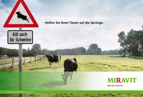 Miravit, Agravis, Kühe, Weide, Verkehrsschild