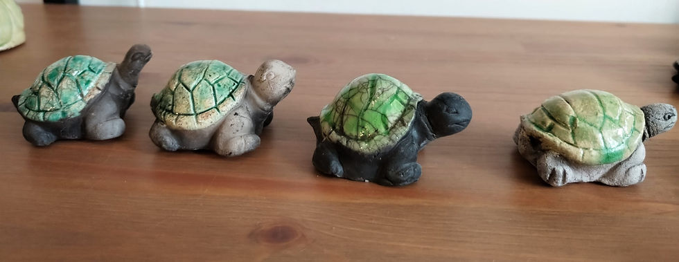 Miniature : Tortue de terre
