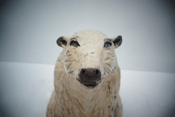 Miniature : Ours Polaire