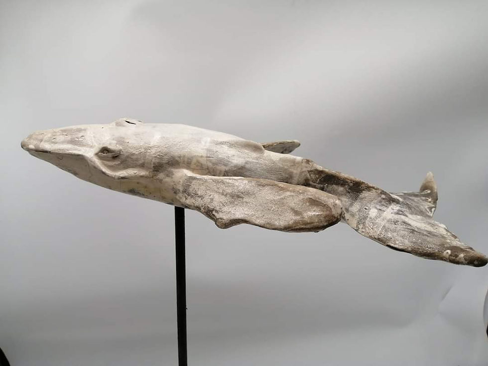Miniature : Baleine