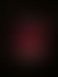 26/10/23- Ciranda de Encerramento do Livro "O Amor nos Tempos do Cólera" de Gabriel GarcÃa Márquez