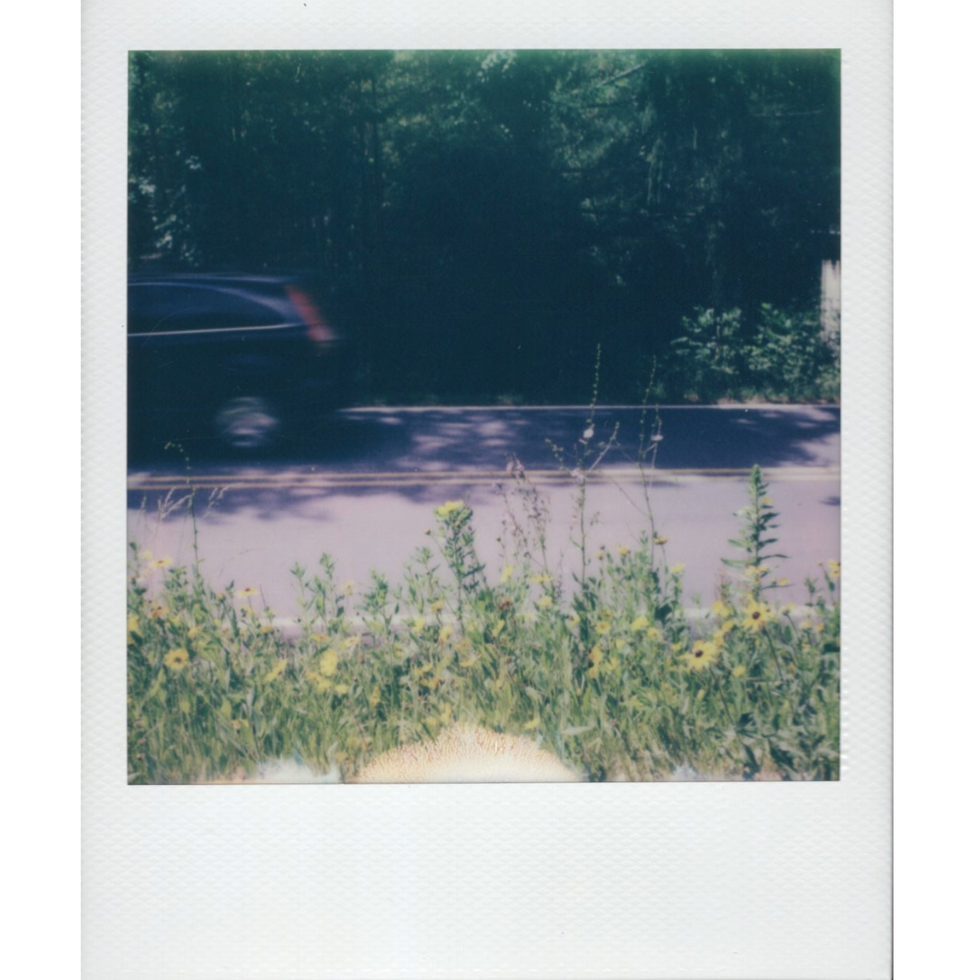 spring florals 2024 1-1.png