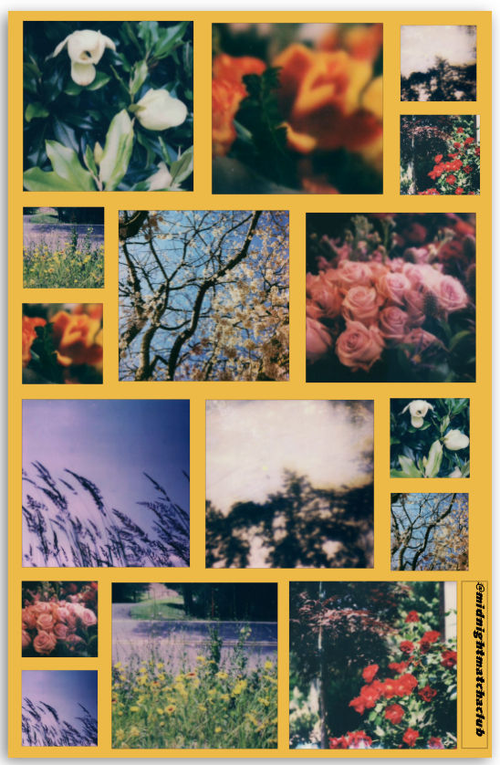 Florals for Spring Sticker Sheet