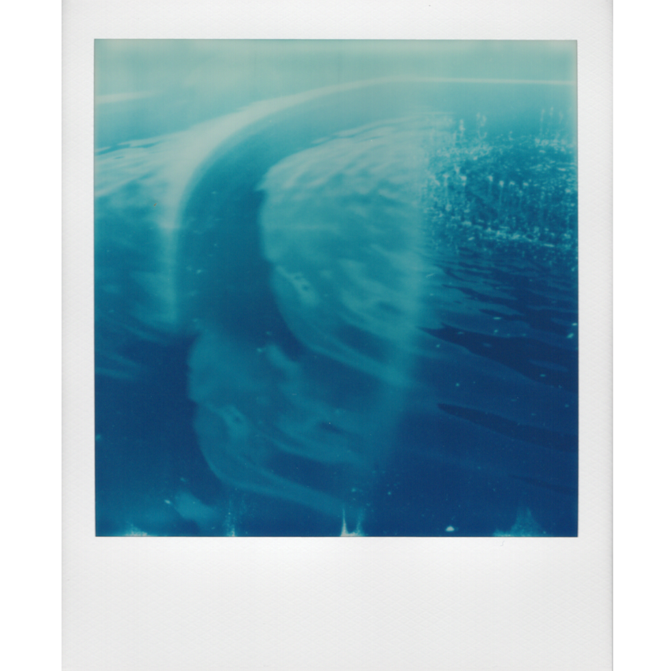 Arboretum Portfolio-16