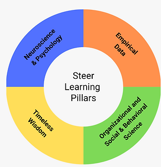 Steer Images & Frameworks (9).png