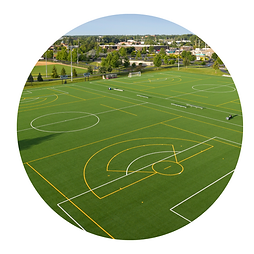 Website images (9).png