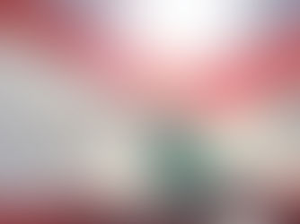 ¡En el Día de la Independencia, rezamos para que el Líbano regrese!