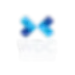 wdc