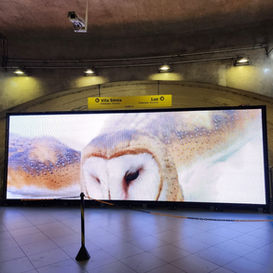Ledwall