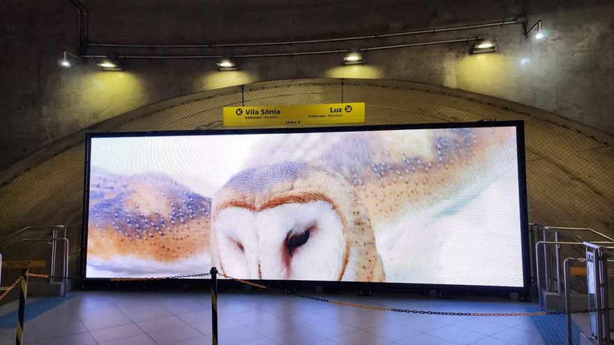 Ledwall