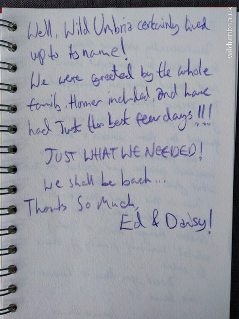 Ed & Daisy!