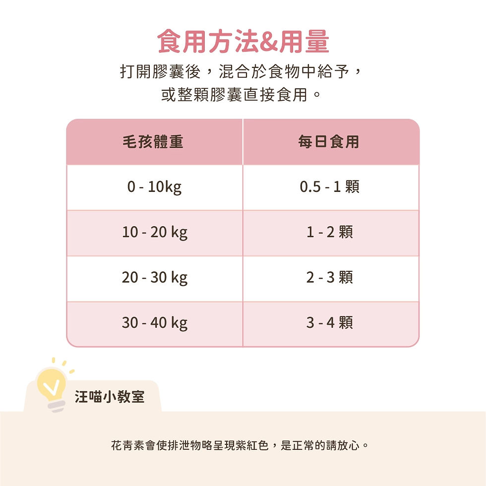 縮圖：汪喵護眼好明亮保養粉 50顆