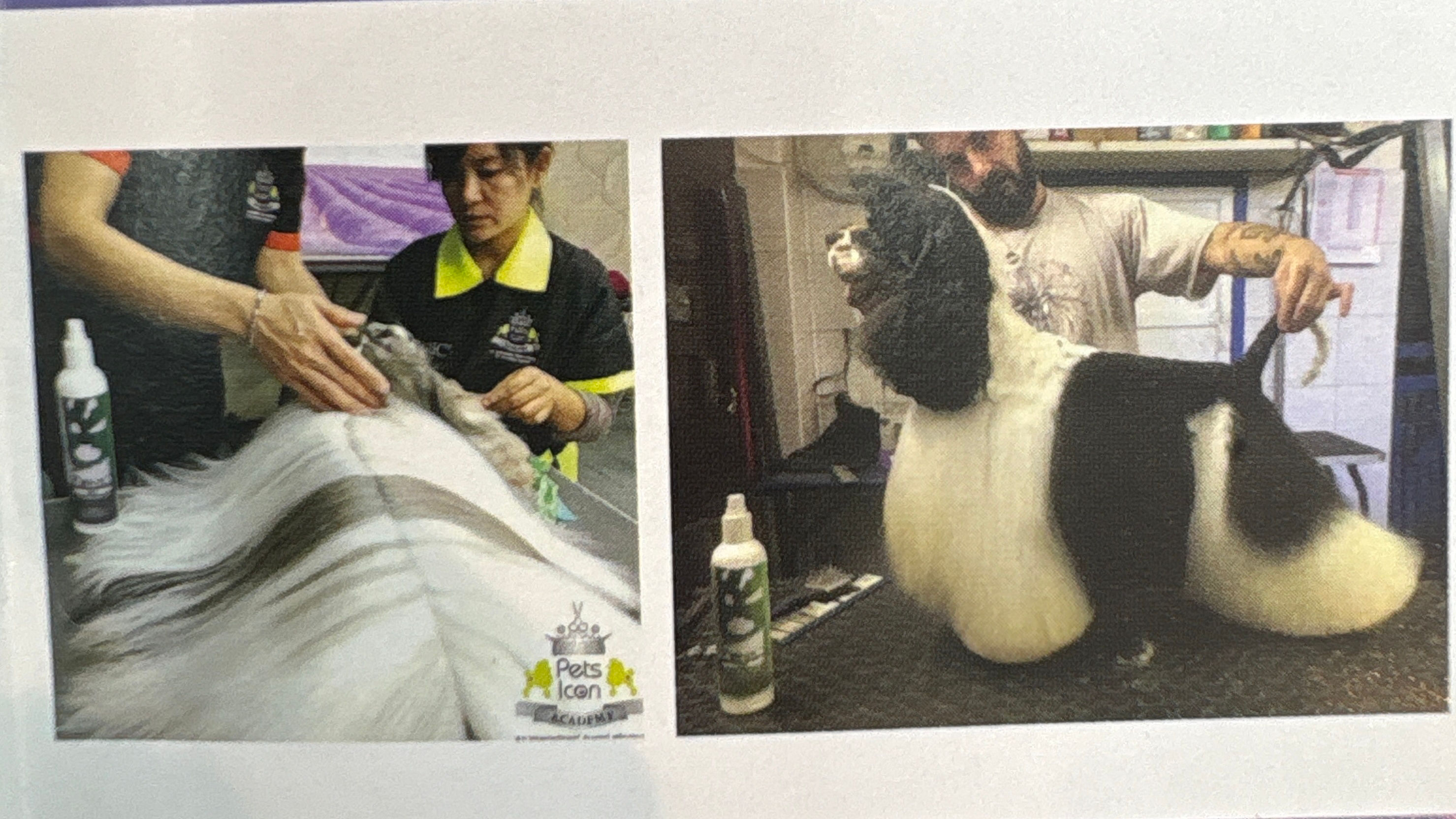 TRUE ICONIC 元氣修復噴霧